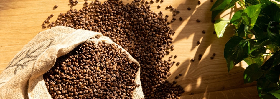 Kaffeebohnen in einem Sack auf einem Holztisch mit Blättern im Hintergrund