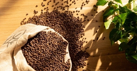 Kaffeebohnen in einem Sack auf einem Holztisch mit einer Pflanze im Hintergrund